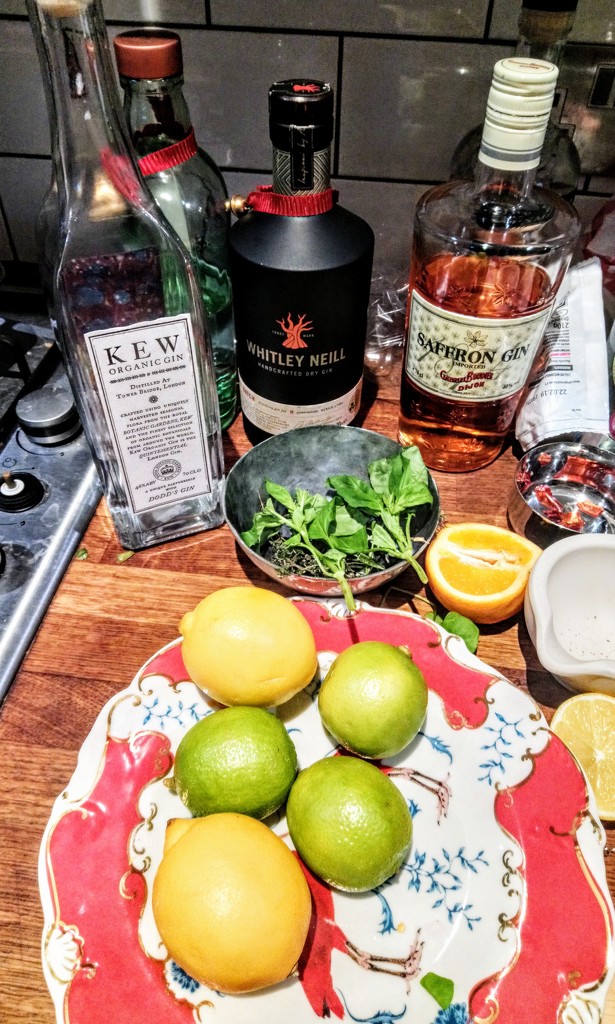 Gin garnishes by boxplayer