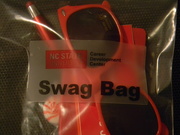 17th Feb 2019 - Swag Bag