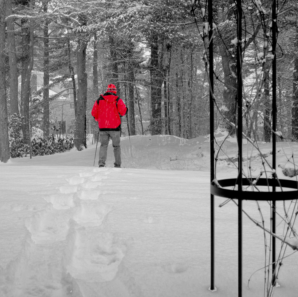 Snowshoeing by tdaug80