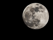 18th Feb 2019 - The almost full almost super moon!