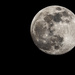 The almost full almost super moon! by rjb71