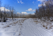 18th Feb 2019 - winter trail