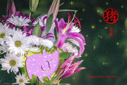 18th Feb 2019 - "Happy New Year!" ...