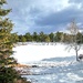 Frozen Pond by harbie