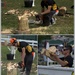 Chainsaw carving by dide