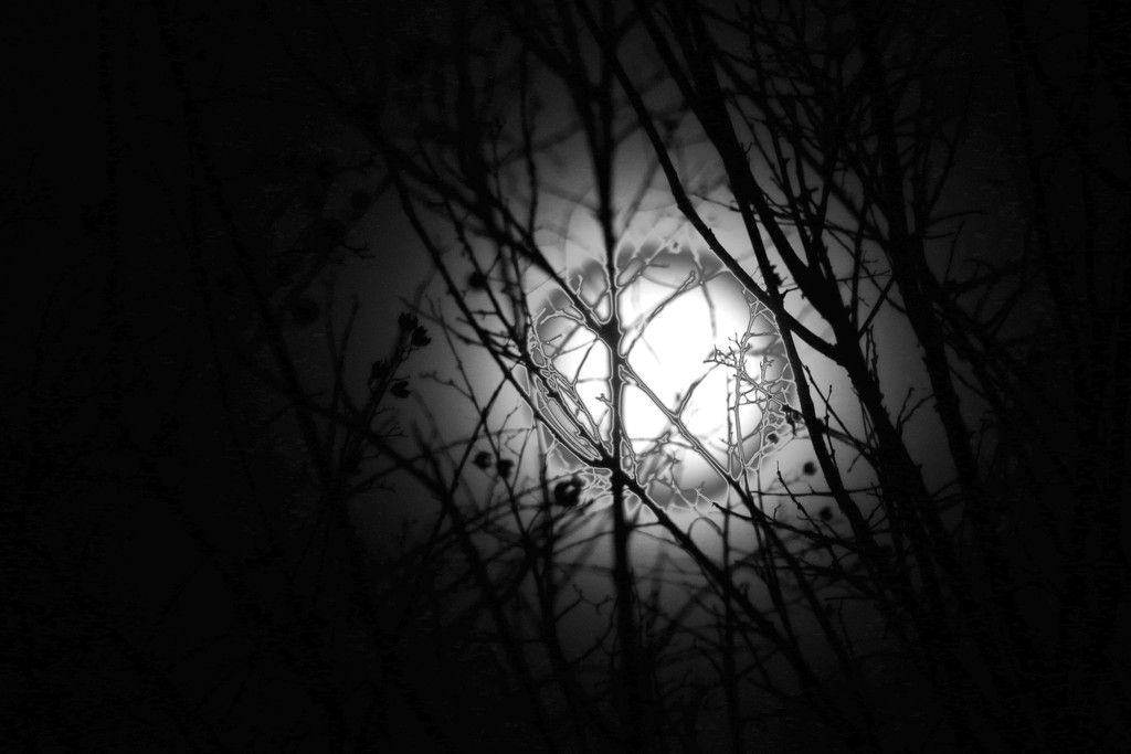 Moon - edited by ingrid01