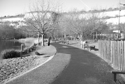 19th Feb 2012 - The Path On Which I Walk