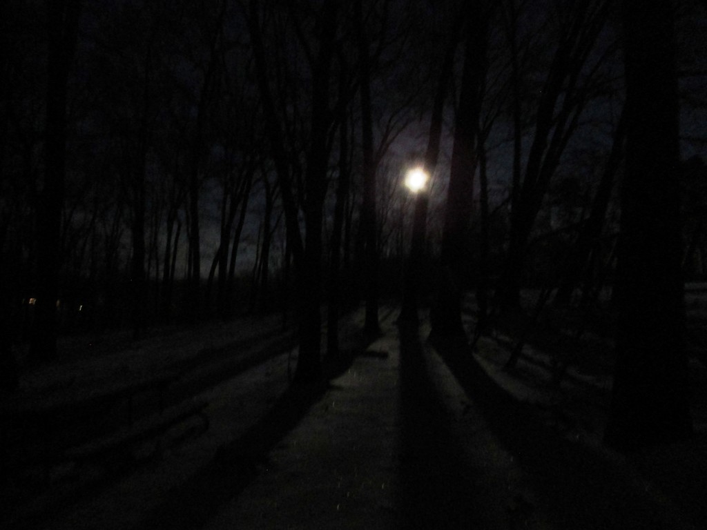 Full Moon Shadows at 6 this morning by julie