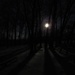 Full Moon Shadows at 6 this morning by julie