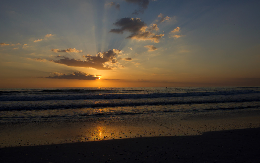 Tampa Sunset beach by loweygrace