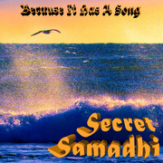 19th Feb 2019 - Secret Samadhi's Album