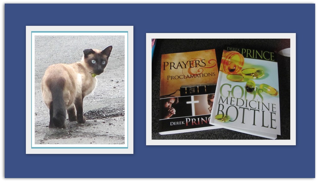 Siamese cat and Derek Prince books. by grace55