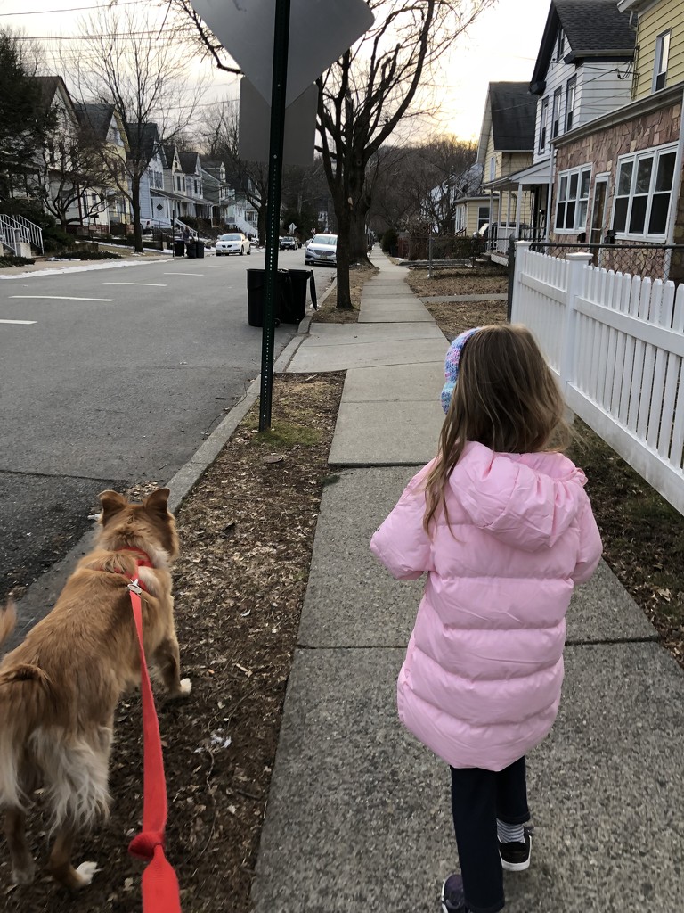 Taking the doggie for a walk by mdoelger