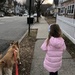 Taking the doggie for a walk by mdoelger