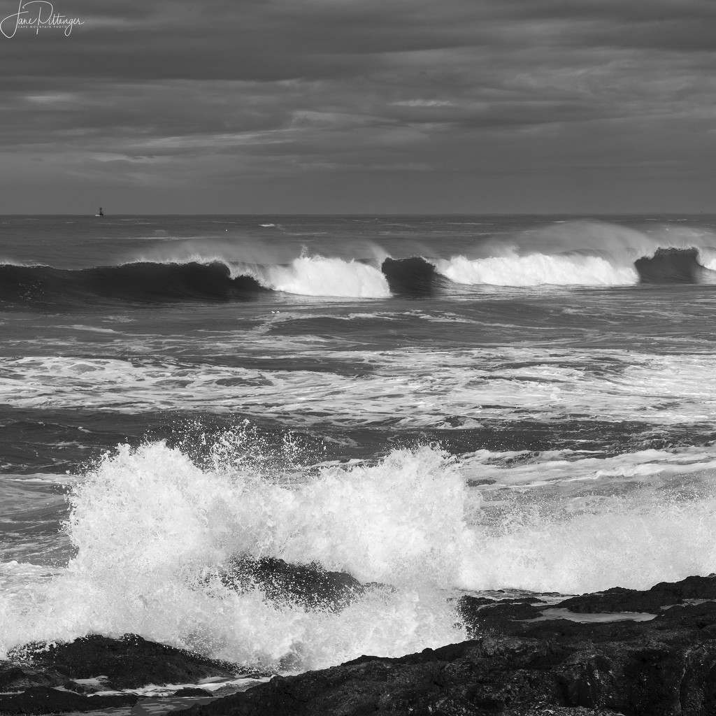 Black and White Yachats Surf by jgpittenger