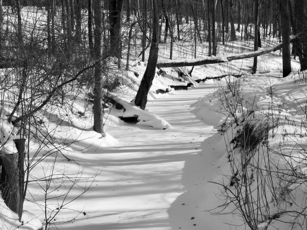 snowy creek by amyk
