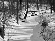 20th Feb 2019 - snowy creek
