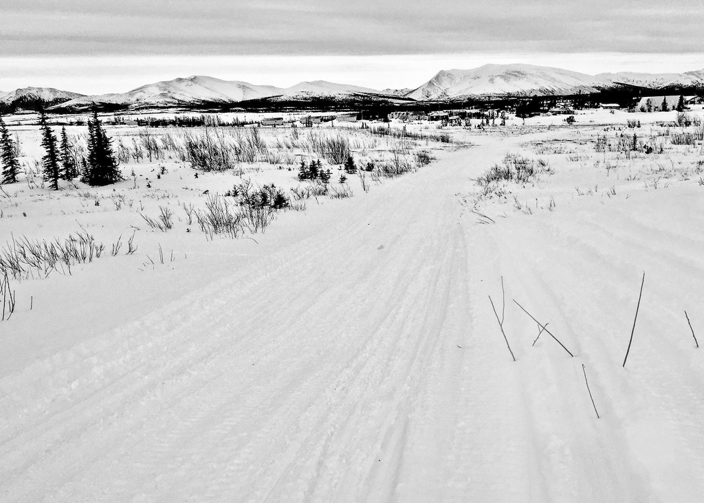 Snow-Go Trail by jetr