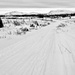 Snow-Go Trail by jetr