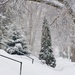 Snowy Day In the Neighborhood by lynnz