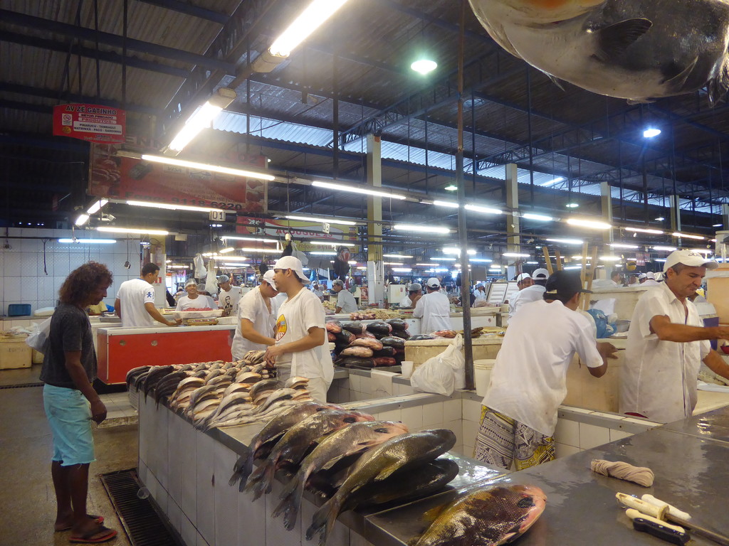 Fish market in Manaus.  by chimfa