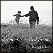 20th Feb 2019 - People interested in you