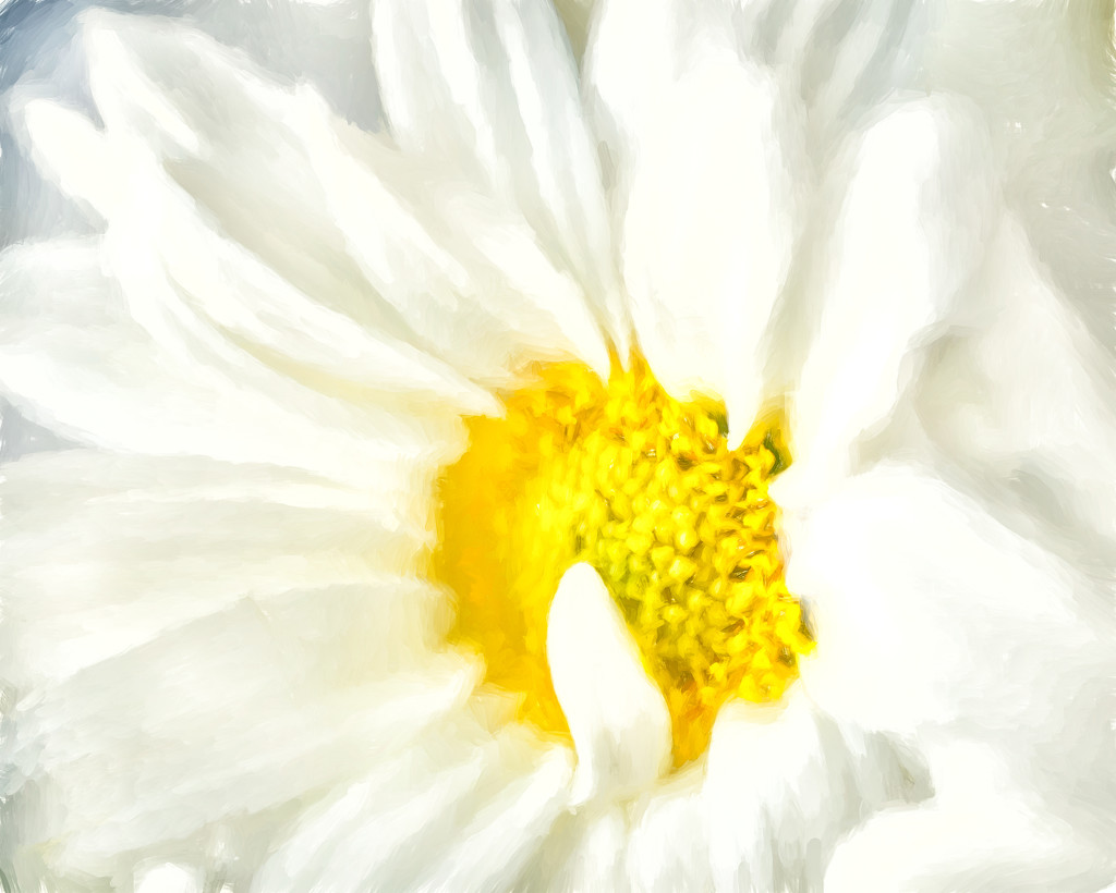 painterly flower by jernst1779