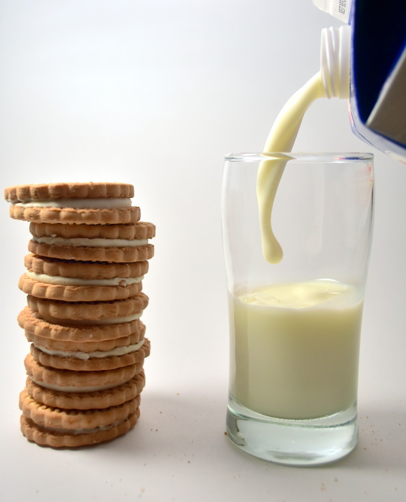 My two favourite food groups -Milk & Cookies by jayberg