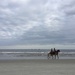 made it to St Simons Island by margonaut