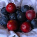 plums by wenbow