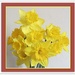 Framed daffodils one. by grace55