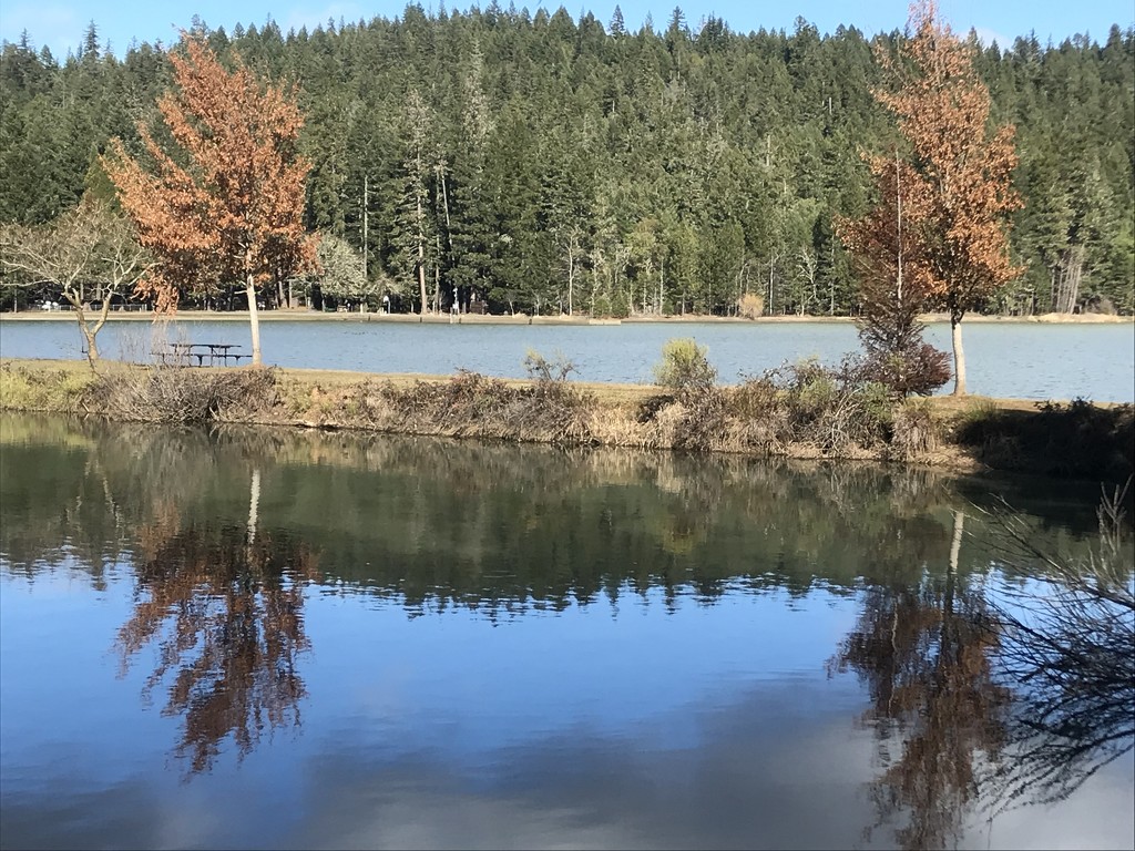 Lake Selmac, Oregon by pandorasecho