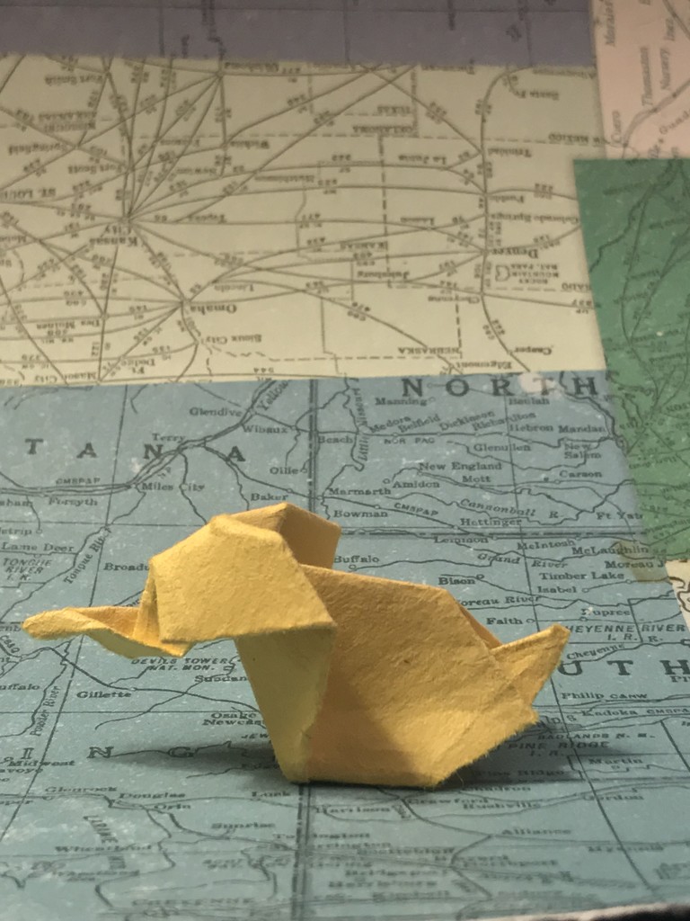 Elephant: Origami  by jnadonza