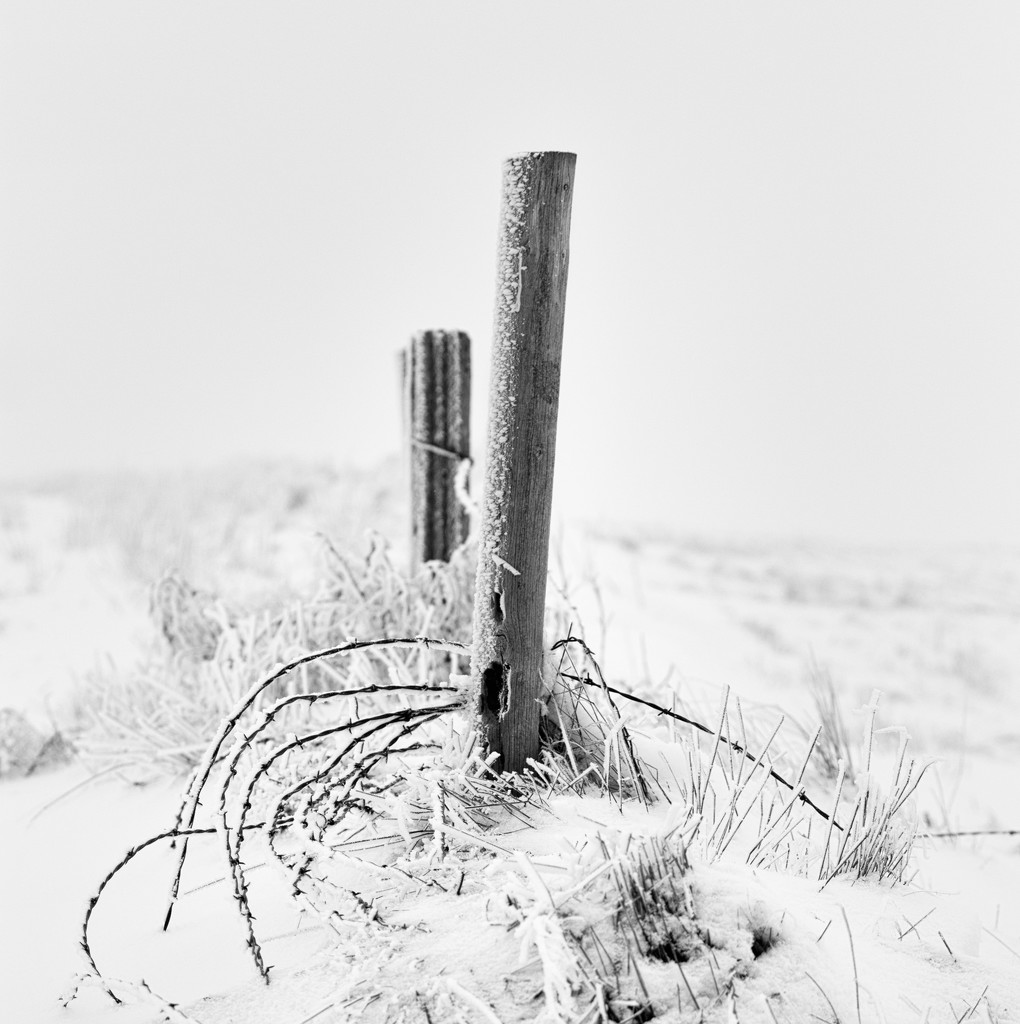 wire and post by aecasey
