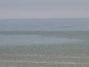 14th Feb 2019 - Ice on Lake Michigan