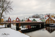 23rd Feb 2019 - Trondheim