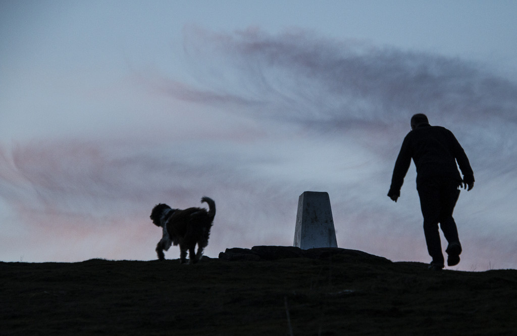 One Man And His Dog by shepherdman