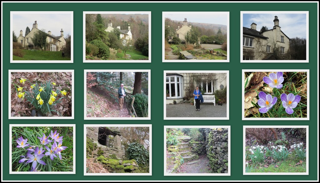 Snap shots of Rydal Mount Gardens. by grace55