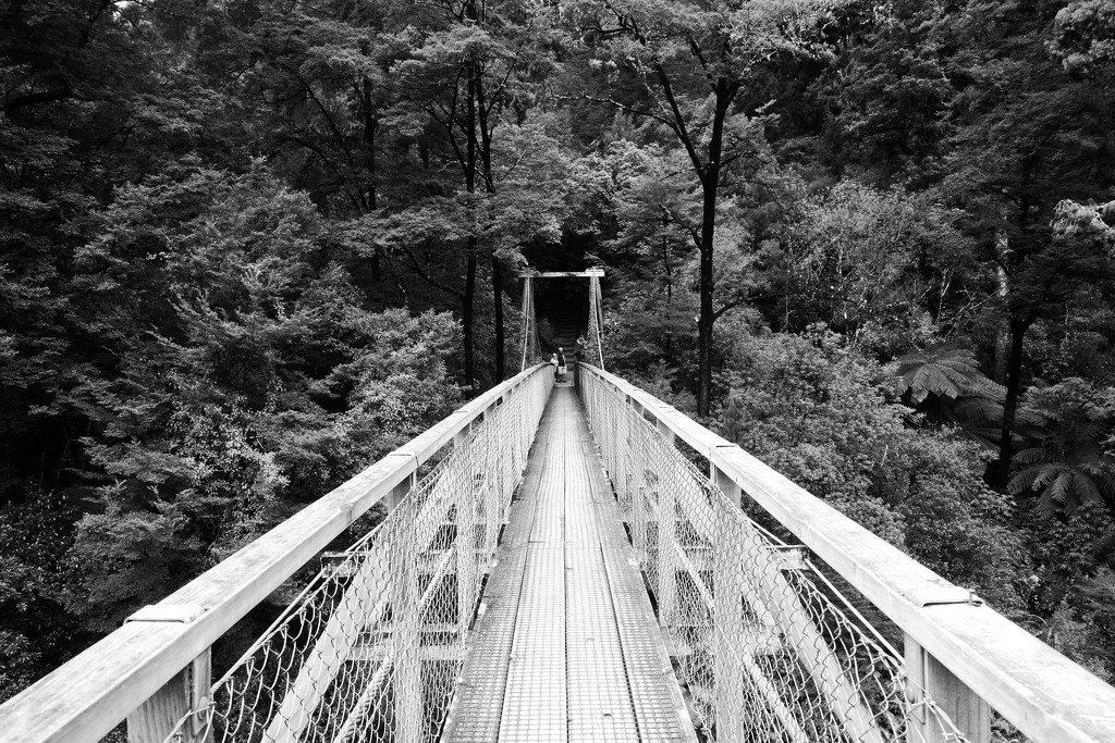 Leading to a swingbridge  by kiwinanna