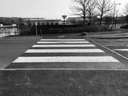 22nd Feb 2012 - Zebra crossing