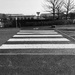 Zebra crossing by bizziebeeme