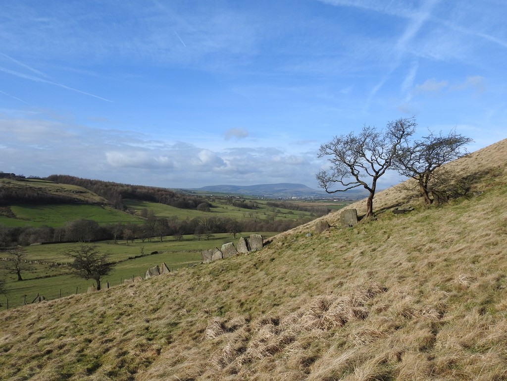 View towards Pendle Hill by roachling