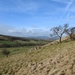 View towards Pendle Hill by roachling