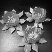 15th May 2017 - Golhaa: Origami 