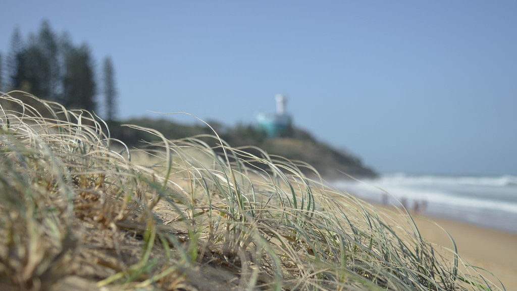 Point Cartwright by jeneurell