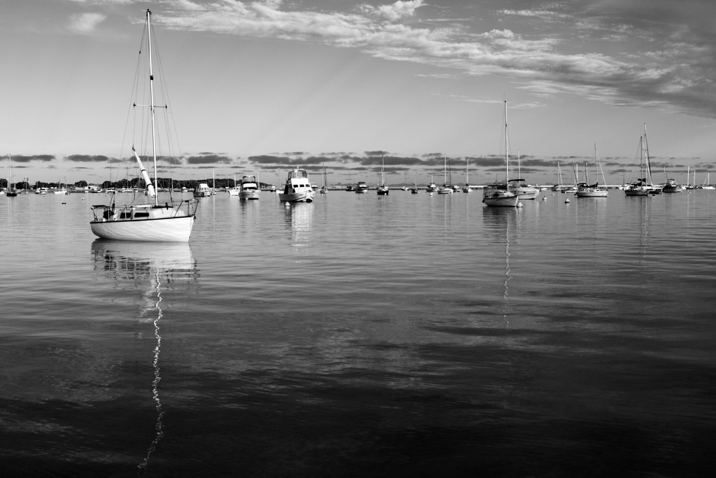 Boats and Clouds ......_DSC6391 by merrelyn