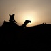 Cairo, desert at sunset (1) by vincent24