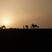 Cairo desert at sunset (2) by vincent24