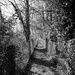 Following a lonely path by rumpelstiltskin
