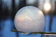 23rd Feb 2019 - Day 54:  Frozen Bubbles 